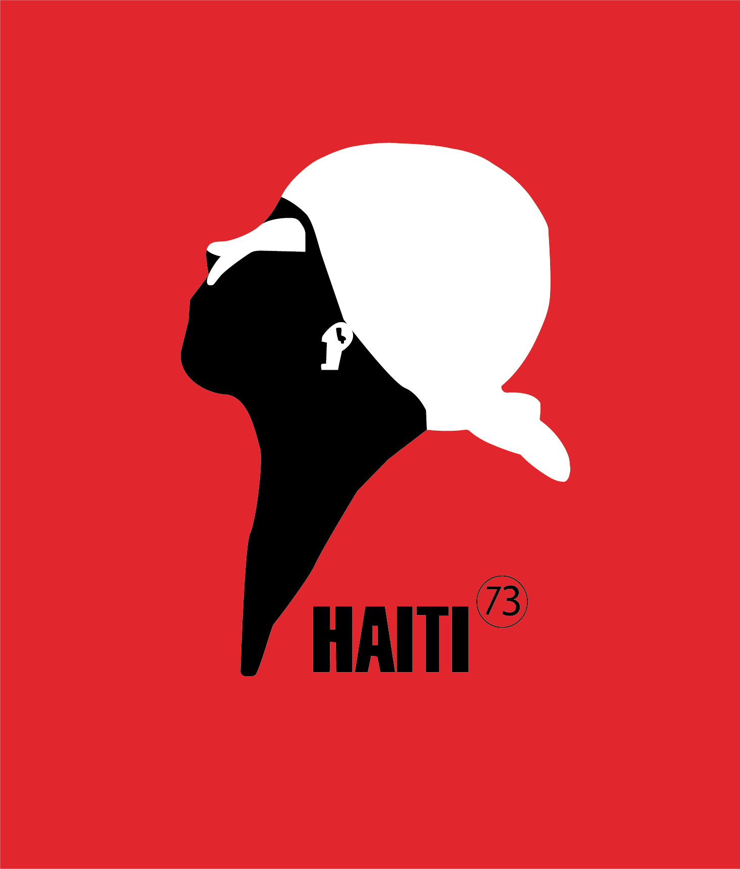 Logo Haiti73